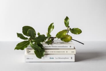 unsplash 2zDw14yCYqk